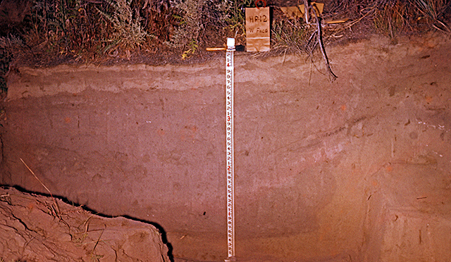 45KT28. A witness section at the margin of Component VII-I, Cayuse III Subphase, showing more complex infilling then the profile below.