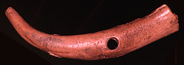 45KT28/4266 (o-266) - Ddigging stick handle from Cultural Component VII, Subcomponent undesignated from the fill just above the floor of House Pit 1 (VIIG). Ergo, Cayuse II or Cayuse III Subphase