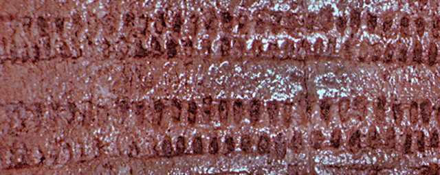 45KT28/333. Antler Comb, design details, Component VII-und, high in the fill of Component VIIC just beneath the VIIH house floor; Cayuse I or II subphase.