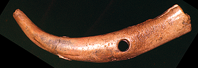 45KT28/4266 (o-266) - DIGGING STICK HANDLE FROM CULTURAL COMPONENT VII, SUBCOMPONENT UNDESIGNATED FROM THE FILL JUST ABOVE THE FLOOR OF HOUSE PIT 1 (VIIG). ERGO, CAYUSE II OR CAYUSE III SUBPHASE. 45KT28/4266 (o-266) - Ddigging stick handle from Cultural Component VII, Subcomponent undesignated from the fill just above the floor of House Pit 1 (VIIG). Ergo, Cayuse II or Cayuse III Subphase