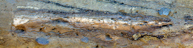 45KT28. Bedded ashes that form Cultural Component VIIA, Cayuse I Subphase.