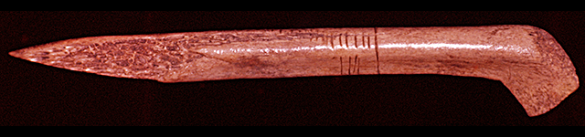 45KT28/800 L-shaped scapula awl, Component VII-I, Cayuse III; color slide, May, 1960.