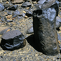 Pillars at the Lothagam Pillar Site