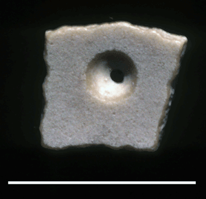 Ostrich eggshell bead, GaJi12, Koobi Fora Spit.