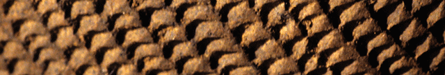 Imbricated rows of stylus impressions on a sherd from the Jarigole Pillar Site (GbJj1)