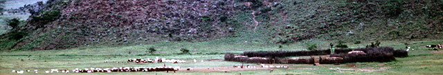 Maasai Enkang, Mt. Suswa, Central Rift, Kenya