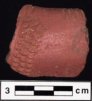 COMB STAMPED VARIANT OF NDERIT WARE FROM THE JARIGOLE PILLAR SITE. Comb Stamped variant of Nderit Ware from the Jarigole Pillar site.