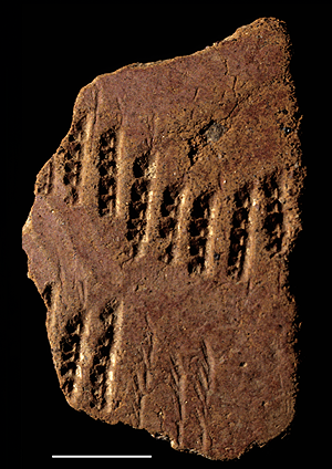COMB & CHANNEL RIM SHERD FROM THE JARIGOLE PILLAR SITE. Comb & Channel rim sherd from the Jarigole Pillar Site