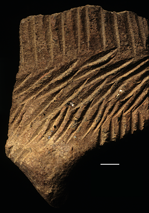 COMB & CHANNEL RIM SHERD FROM THE JARIGOLE PILLAR SITE. Comb & Channel rim sherd from the Jarigole Pillar Site