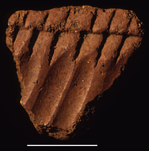 VESSEL OF MIXED PANELS FROM THE JARIGOLE PILLAR SITE. Vessel of mixed panels from the Jarigole Pillar site.