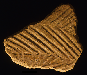 RIPPLE VARIANT OF NDERIT WARE FROM THE JARIGOLE PILLAR SITE. Ripple Variant of Nderit Ware from the Jarigole Pillar site.