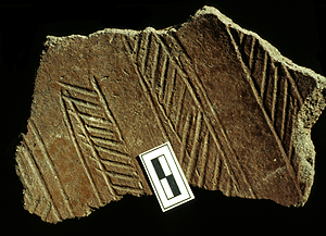 RIM SHERD WITH EVULSED IMPRESSIONS FROM THE JARIGOLE PILLAR SITE. Rim sherd with evulsed impressions from the Jarigole Pillar site.