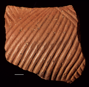COMB & CHANNEL VARIANT OF NDERIT WARE FROM THE JARIGOLE PILLAR SITE. Comb & Channel variant of Nderit Ware from the Jarigole Pillar site.