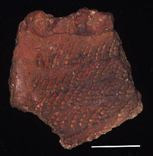 SHOULDERED ASYMMETRICAL VESSEL FROM THE JARIGOLE PILLAR SITE. Shouldered asymmetrical vessel from the Jarigole Pillar Site