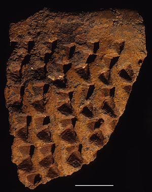 BEAKER WITH GROOVED PANELS FROM THE JARIGOLE PILLAR SITE. Beaker with grooved panels from the Jarigole Pillar site.