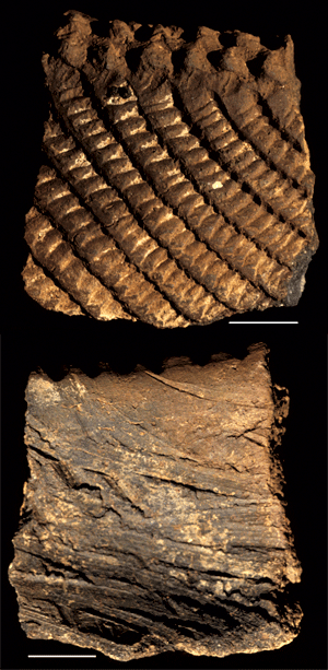 RIM SHERD OF NDERIT WARE FROM THE LOTHAGAM PILLAR SITE.