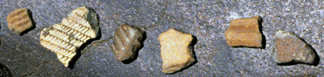 TYPICAL SHERDS SURVIVING ON THE SURFACE AT LOTHAGAM.