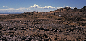 Looking ESE over the field of platforms.