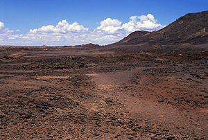 Looking SSE across the curbed platforms.