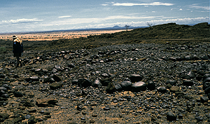 Looking east across the northern portion of the platform field.