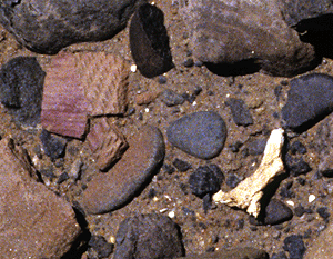 Bone and pottery exposed in eroded collar.