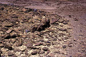CLOSE-UP OF THE WESTERN MARGIN OF THE LARGE SLAB PLATFORM.