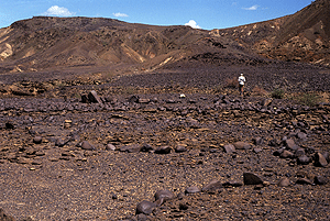 Looking west with curbed platforms in foreground.