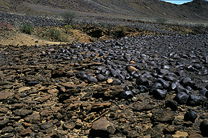 The western margin of the collar.