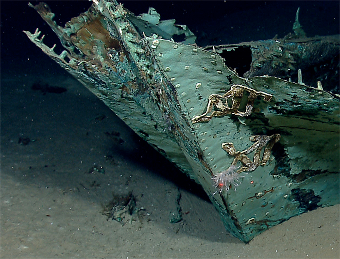 COPPER CLADDING FROM 19TH CENT WRECK.