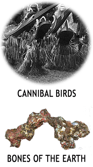 CANNIBAL BIRDS & NATIVE COPPER CANNIBAL BIRDS & NATIVE COPPER