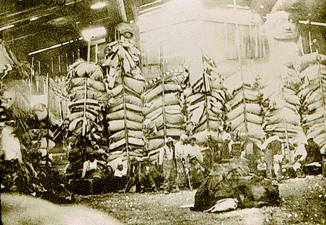 BLANKETS FOR DISTRIBUTION AT A KWAKIUTL POTLATCH, ca. 1910 BLANKETS FOR DISTRIBUTION AT A KWAKIUTL POTLATCH, ca. 1910