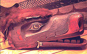 GRISSLY BEAR FOREHEAD MASK, 1880-1900, FIELD MUSEUM GRISSLY BEAR FOREHEAD MASK, 1880-1900, FIELD MUSEUM