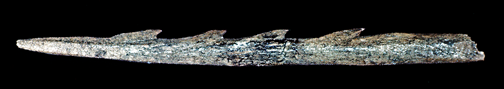 BARBED BONE POINT FROM FISHTOWN (45SK33), SKAGIT RIVER DELTA