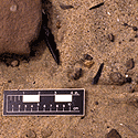 Harpoon eroding from under sandstone slab, GaJi12